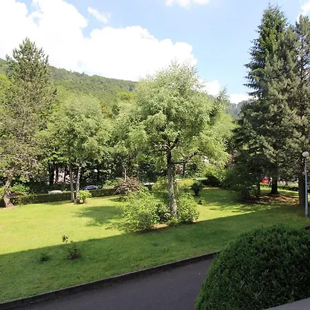 Apartment Mont-dore : T2 Avec Balcon, Parking, Wifi - Fr-1-608-130 Le Mont-Dore