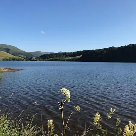 Mont-dore : T2 Avec Balcon, Parking, Wifi - Fr-1-608-130 アパート *